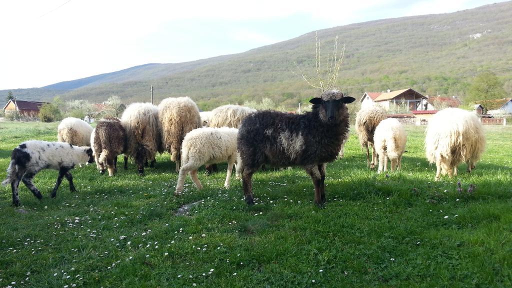 Gacka Valley Licko Lesce Εξωτερικό φωτογραφία